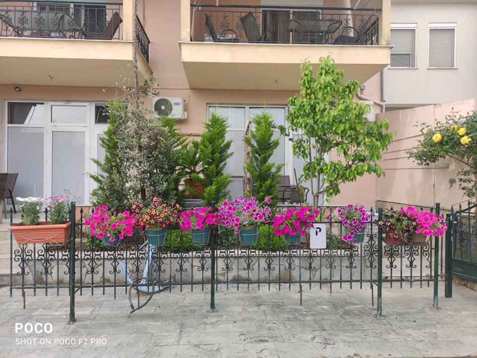 Villa Anna Thasos Extérieur photo