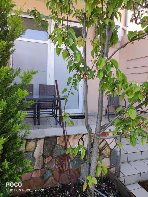 Villa Anna Thasos Chambre photo